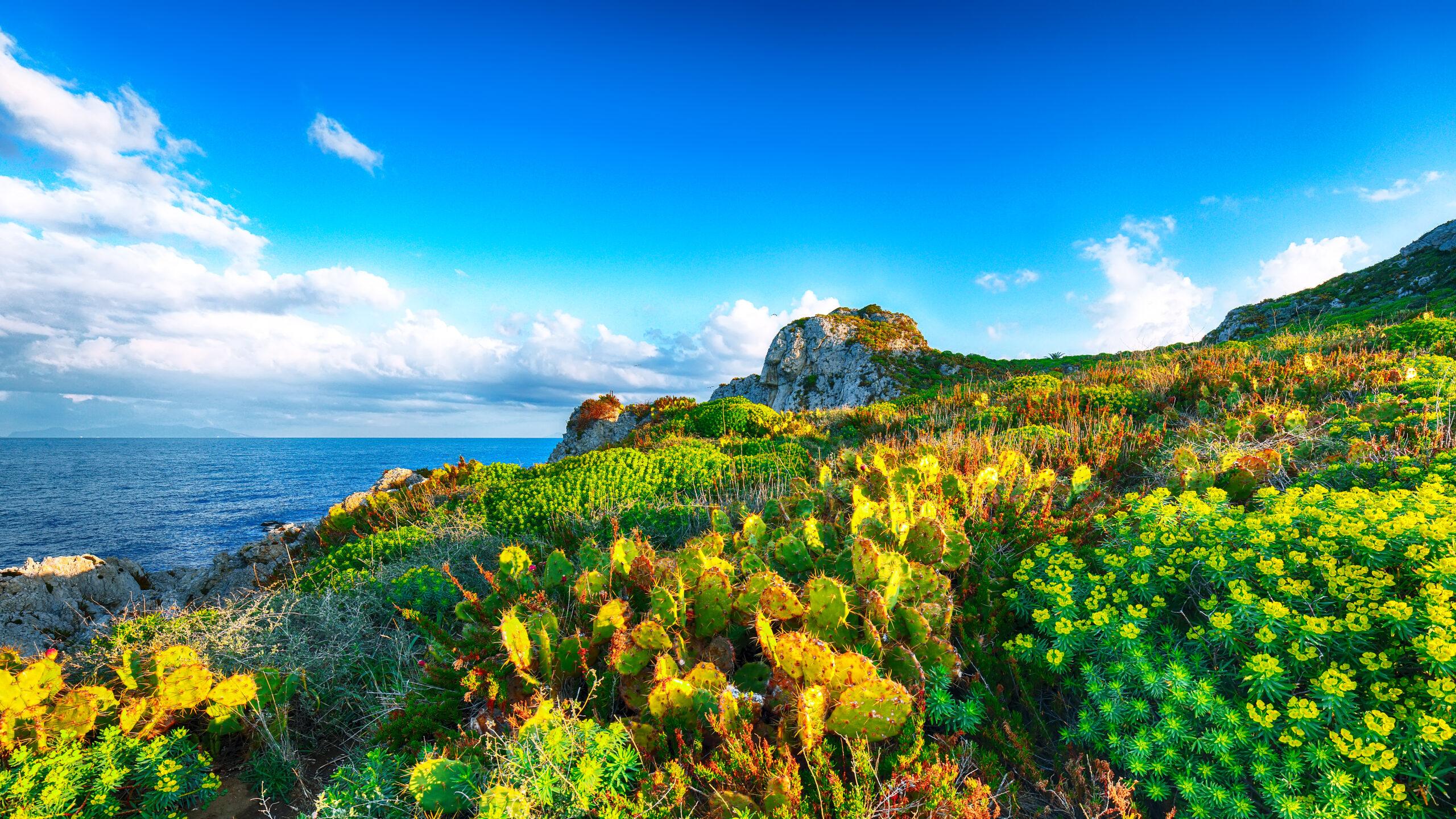 Tutti gli appuntamenti del weekend in Sicilia